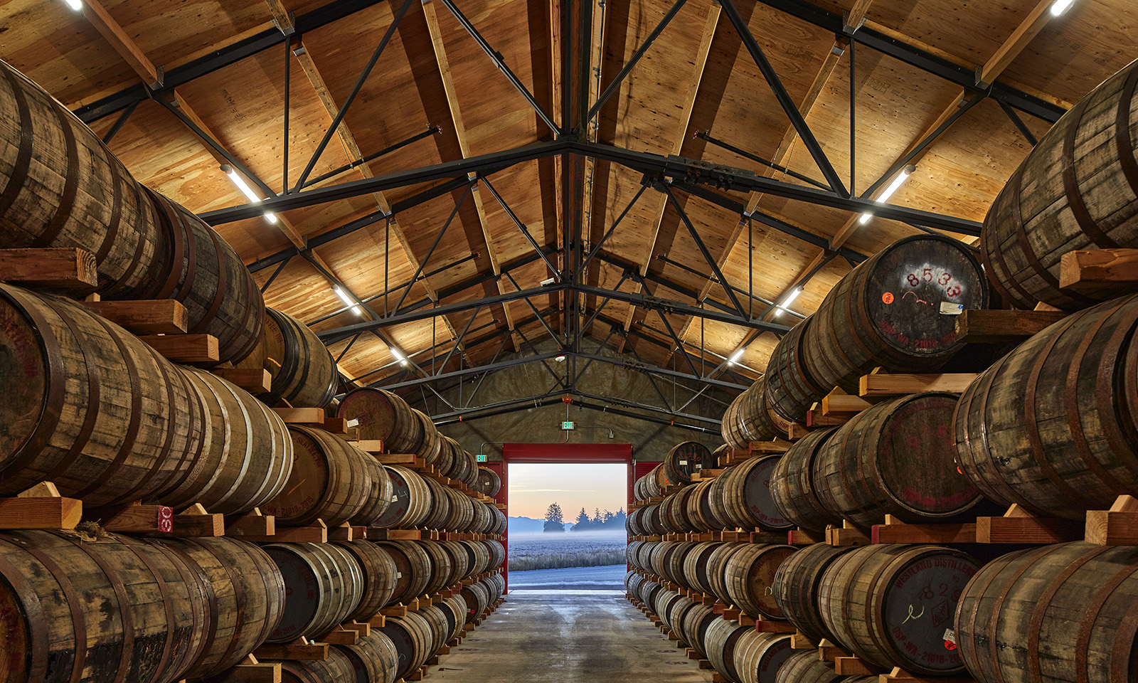 Rows of wooden whiskey barrels stacked in a rustic rackhouse with exposed timber trusses and an open doorway.