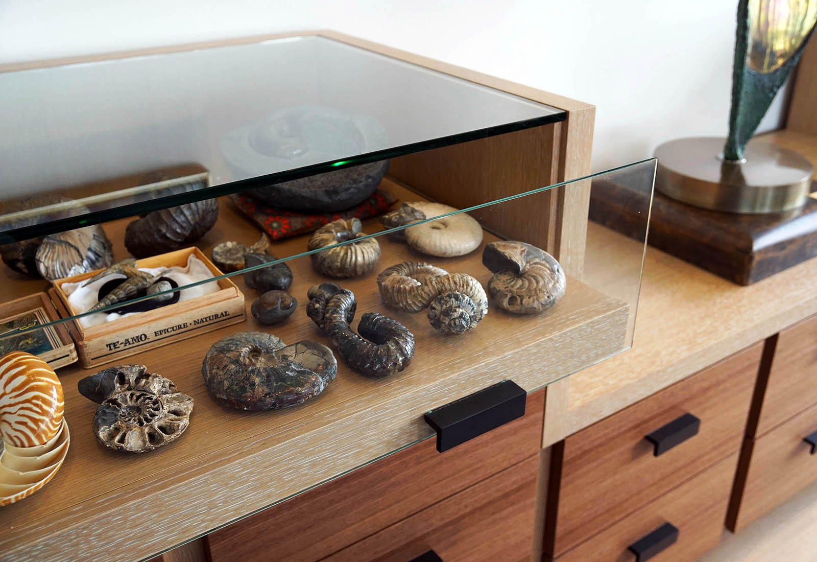 Custom wood cabinet featuring a pull-out glass display drawer filled with ammonite fossils and shells.