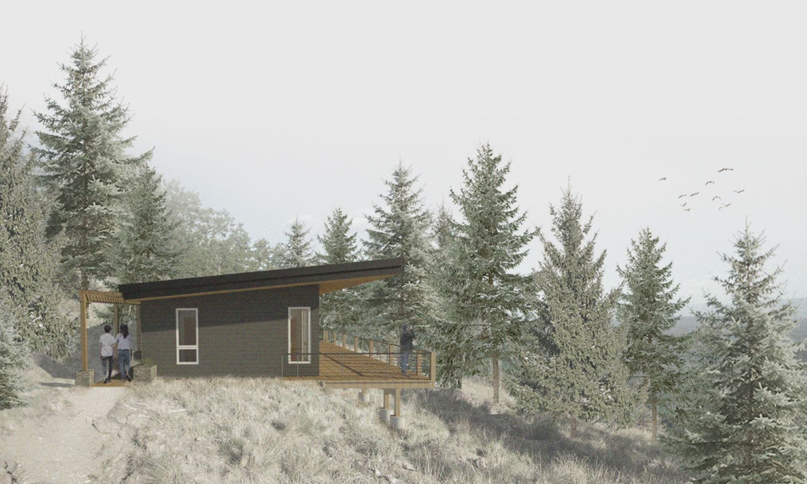 Architectural rendering of a modern cabin with a shed roof and wooden deck on a pine-covered hillside.