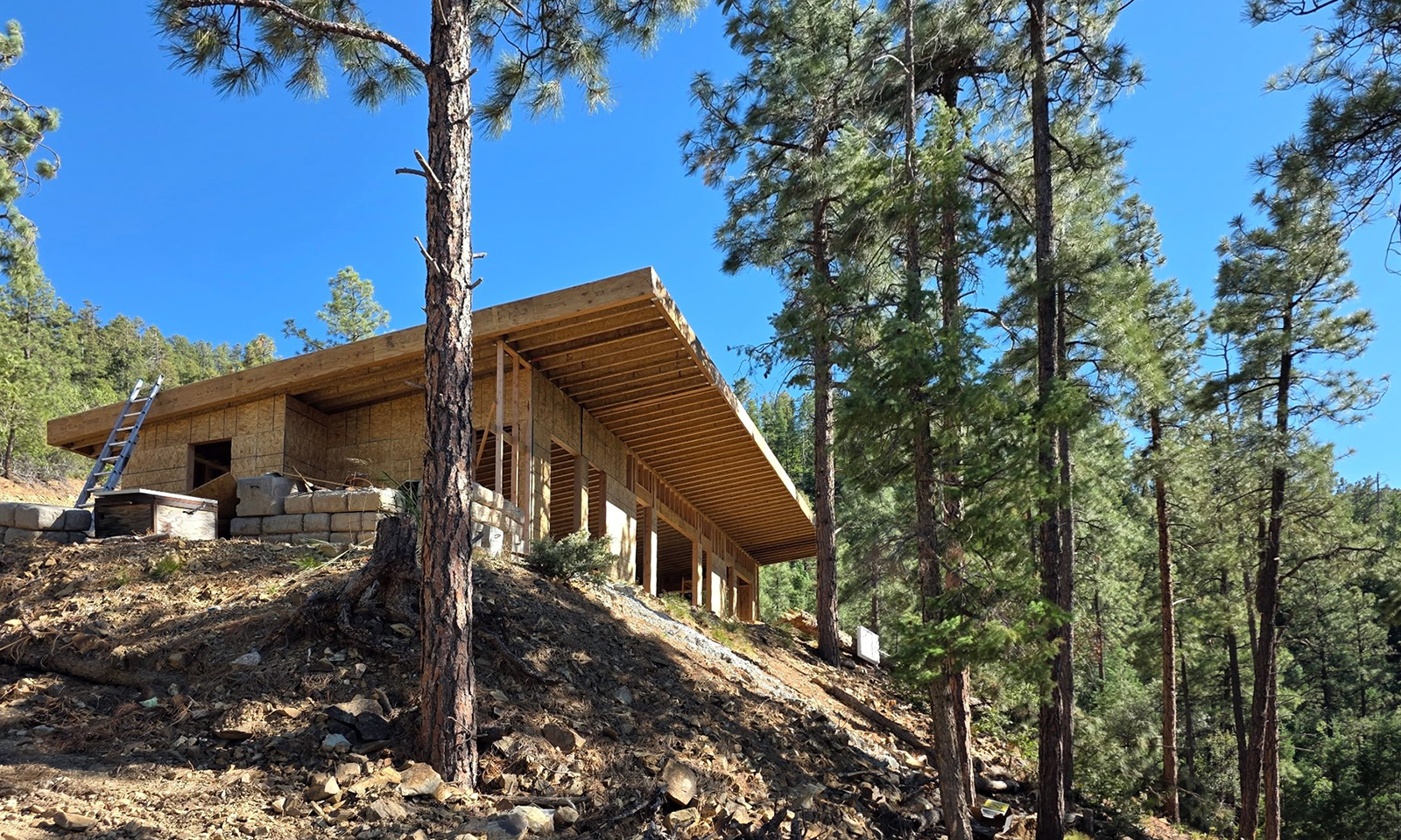 A modern wood-framed house under construction on a steep, pine-forested hillside under a clear blue sky.