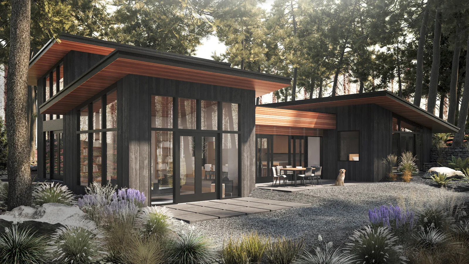 Architectural rendering of a modern dark-clad forest home with large windows, wood soffits, and a gravel patio.